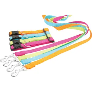 Coleira de nylon ajustável para cães Zolux image-2