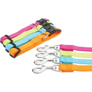 Laisse nylon pour chien Zolux image-1