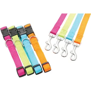 Laisse nylon pour chien Zolux image-1