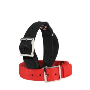 Collier nylon a poignée pour chien Zolux 75 cm image-0