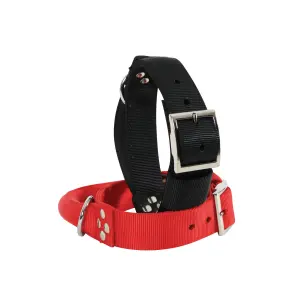 Collier nylon a poignée pour chien Zolux 75 cm image-2