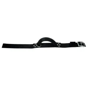 Nylon hondenhalsband met handvat Zolux 65 cm image-4