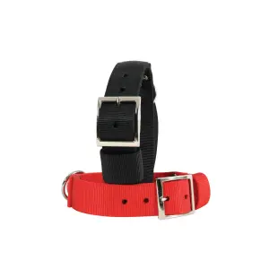 Collier nylon a poignée pour chien Zolux 75 cm image-1