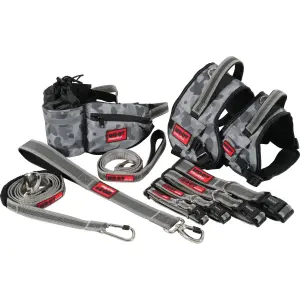 Verstellbares Halsband für Hunde Zolux Moov image-4