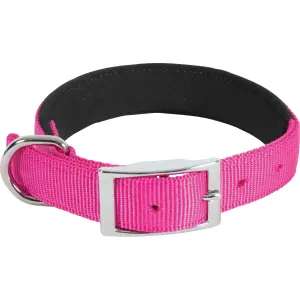 466727fus-hundhalsband-i-mjuk-nylon-zolux-komfort-fuschia-fuschia-45-cm