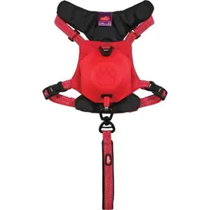 Harnais pour chien et Laisse Zolux Easy Ride image-2