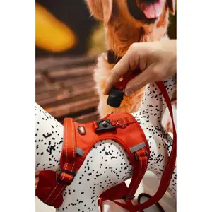 Hundeleine und -geschirr Zolux Clip And Go image-1