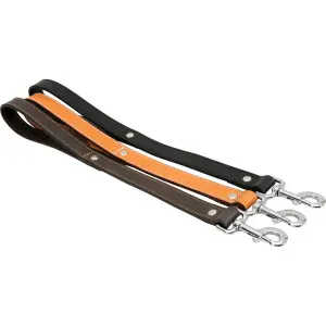 Hundlina i dubbelt läder Zolux image-2