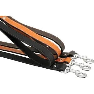 Hundlina i dubbelt läder Zolux image-3