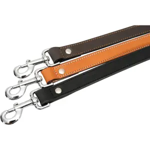 Hundlina i dubbelt läder Zolux image-4