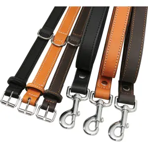 Collier en cuir doublé pour chien Zolux image-1