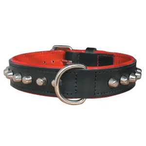 Coleira de couro para cão de caça Zolux image-0