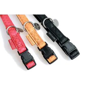 Verstelbare hondenhalsband Zolux Mac Leather image-4