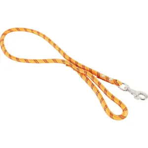 Laisse nylon corde pour chien Zolux image-1