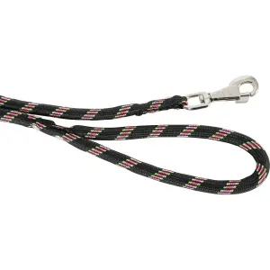 Laisse nylon corde pour chien Zolux image-1