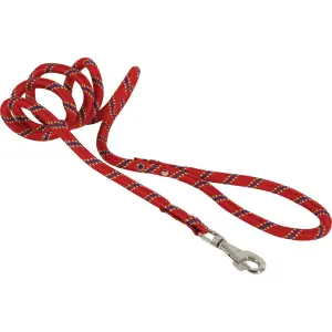 Laisse nylon corde pour chien Zolux image-2