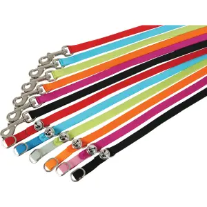 Nylon halsband voor katten Zolux image-1