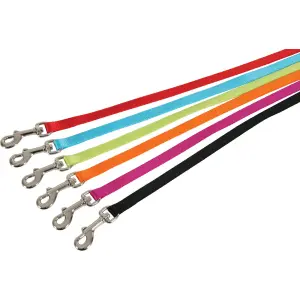 Nylon halsband voor katten Zolux image-3