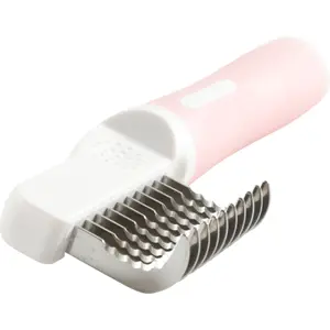 Kattkam Zolux Anah image-2