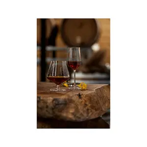 Bicchiere da champagne Zone Denmark Rocks (x2) image-2