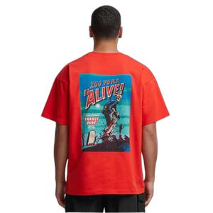 T-Shirt Zoo York Zm243-027-1 Dark image-2