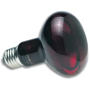 Heated infrared terrarium lamp Zoomed RS100