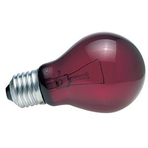 Lampka nocna do terrarium Zoomed NR60