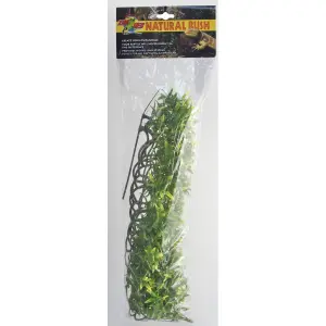 Plant terrarium accessories Zoomed Boliv Croton