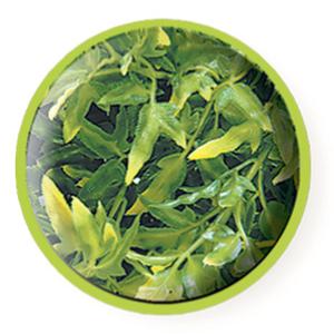 Plant terrarium accessories Zoomed Boliv Croton image-1