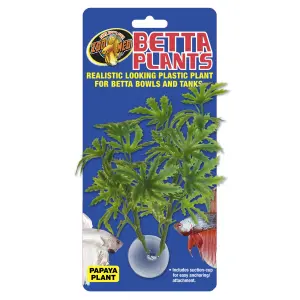 Papaya plant for aquarium Zoomed Betta BP21 image-1