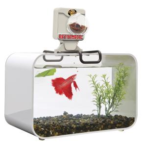 Bird feeder Zoomed Betta BF1