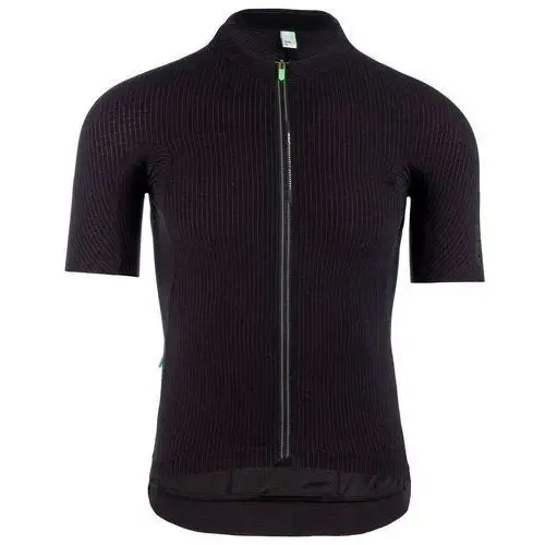 Maillot Q36.5 L1 Pinstripe X