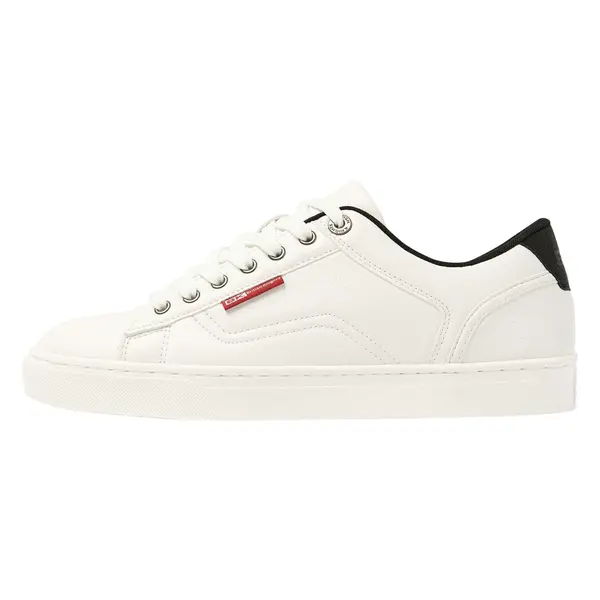 Baskets British Knights Dale