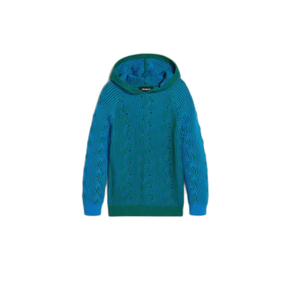 Sweatshirt à capuche enfant Desigual Kenneth