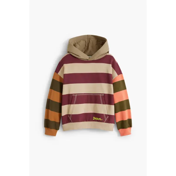 Sweatshirt à capuche enfant Desigual Logan