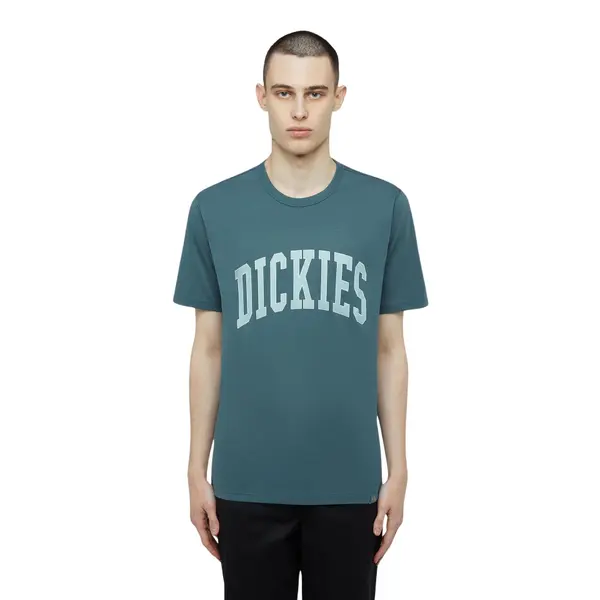 T-shirt Dickies Aitkin
