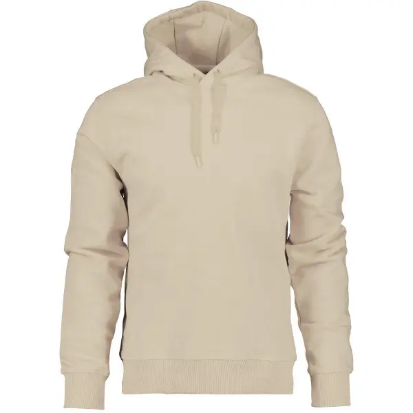 Sweatshirt à capuche Didriksons Ven