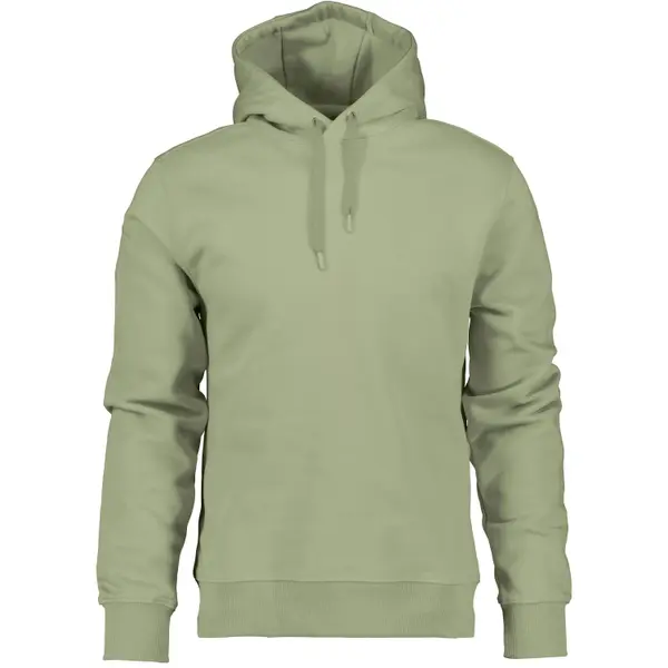 Sweatshirt à capuche Didriksons Ven