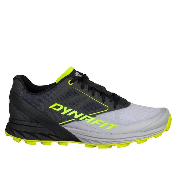 Chaussures de trail Dynafit Alpine