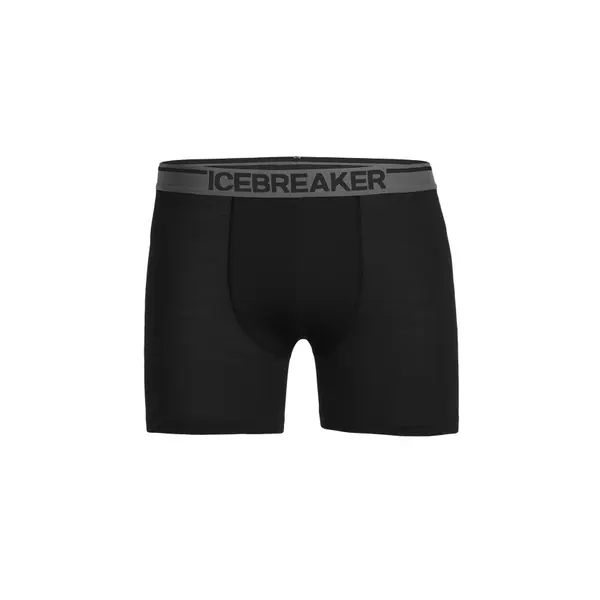 Boxer Icebreaker anatomica