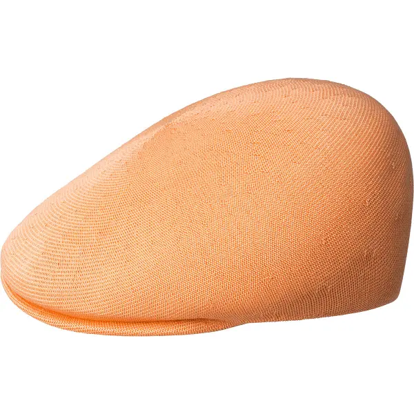 Béret sans couture Kangol Tropic 507