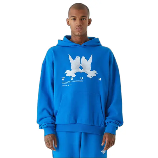 Sweatshirt à capuche Lost Youth Dove