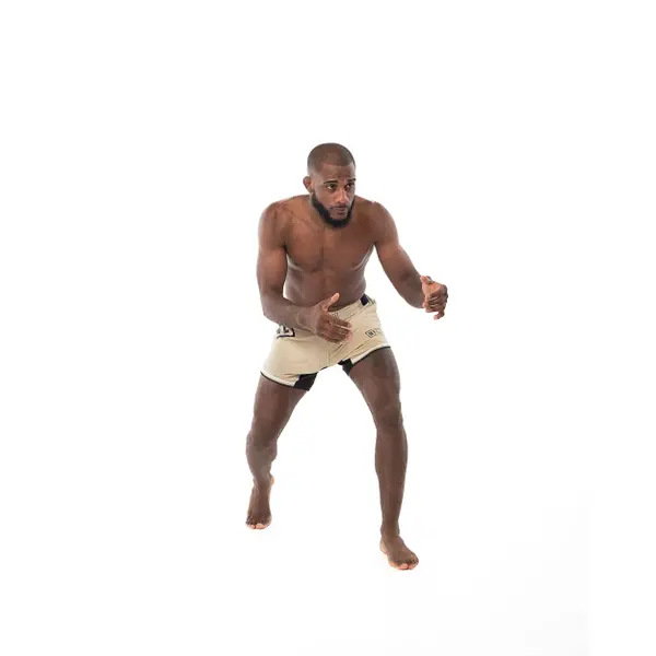 Short MMA Metal Boxe Desert Storm