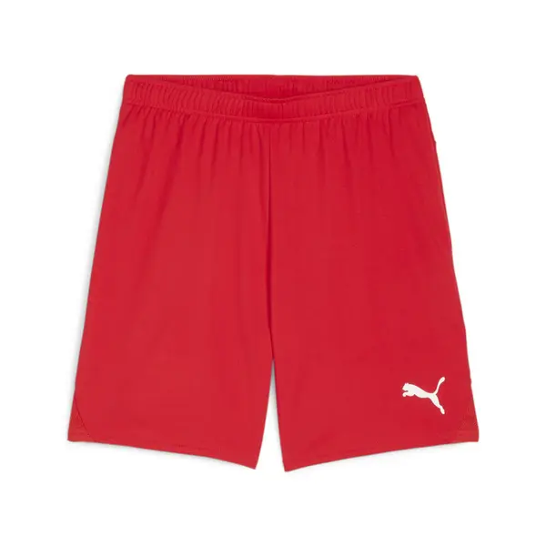 Short Puma TeamGoal
