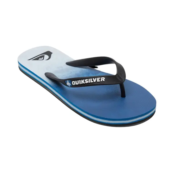 Tongs Quiksilver Molokai Faded Tide
