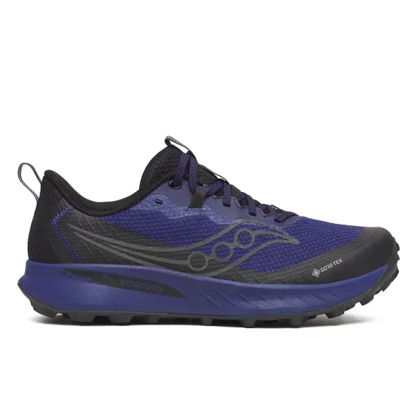 Chaussures de trail Saucony Peregrine 15 Gtx