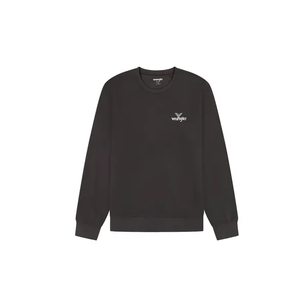 Sweatshirt à capuche Wrangler Small logo