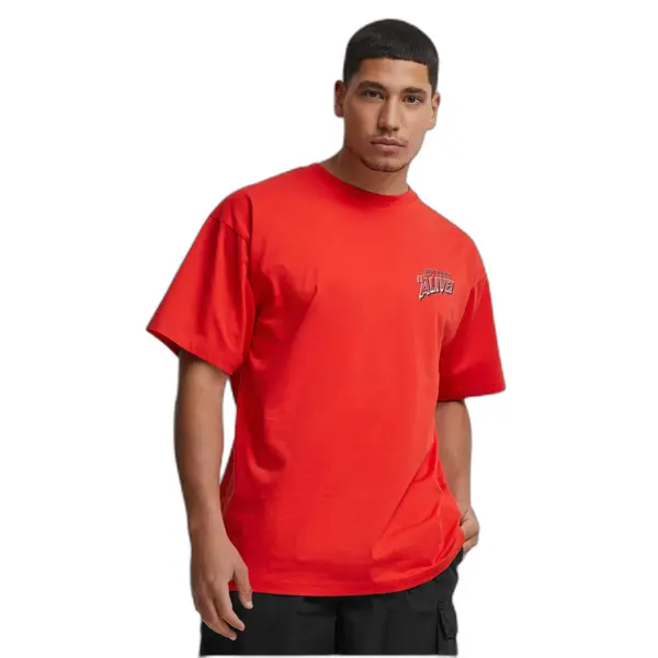 T-shirt Zoo York Zm243-027-1 Dark