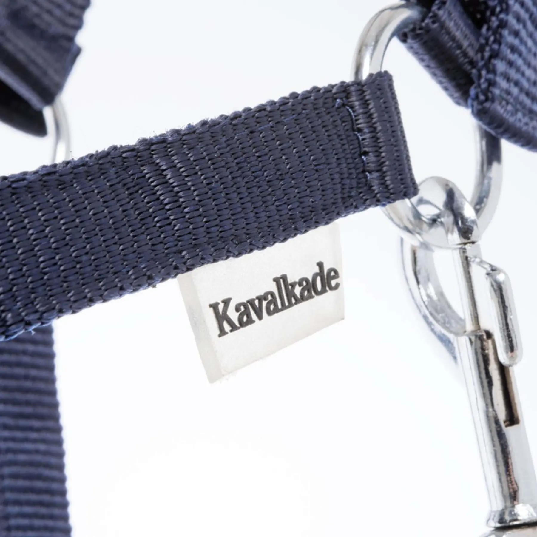 Halter for horses in two different sizes Kavalkade Shorty