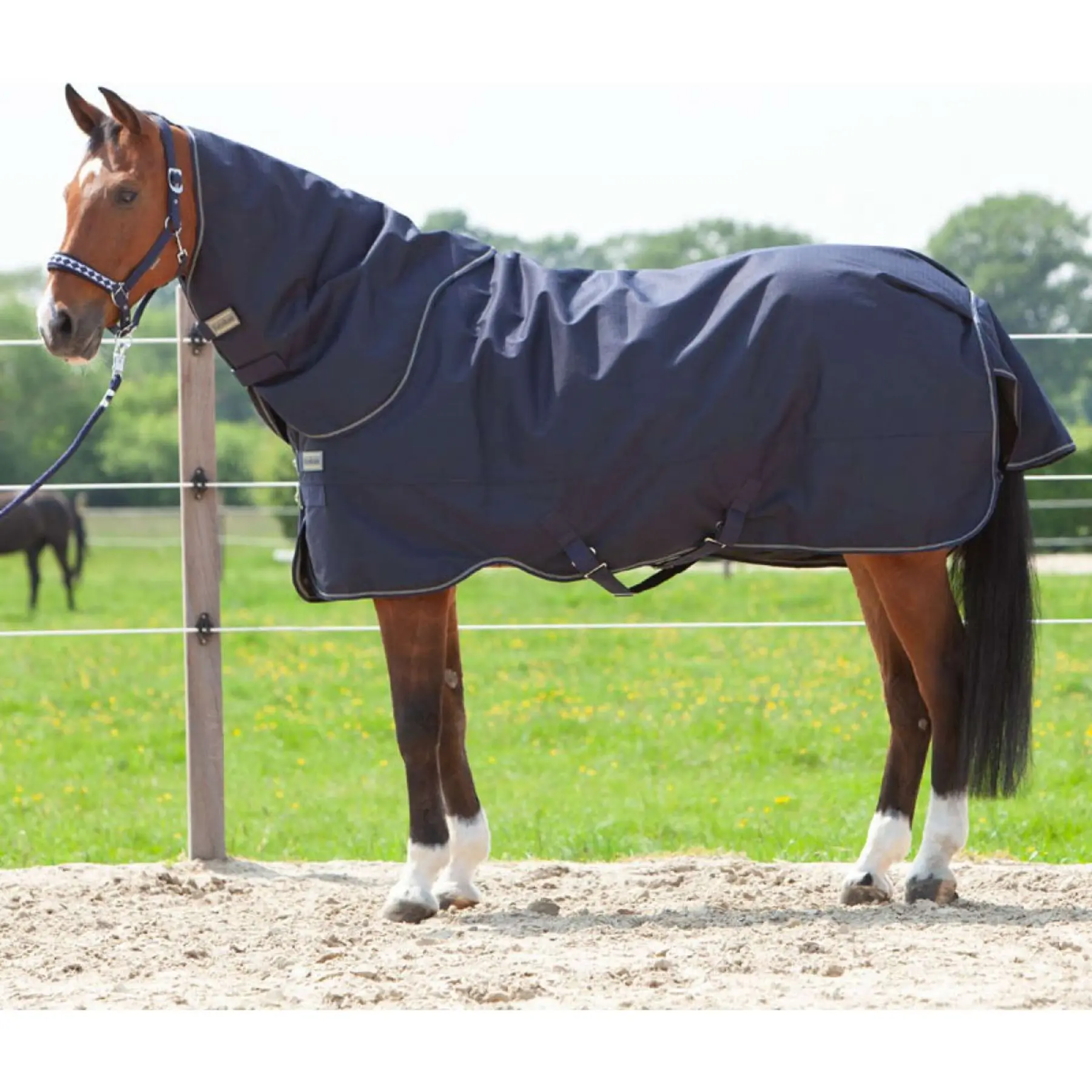 Horse neck cover for outdoor rug Kavalkade Montreal